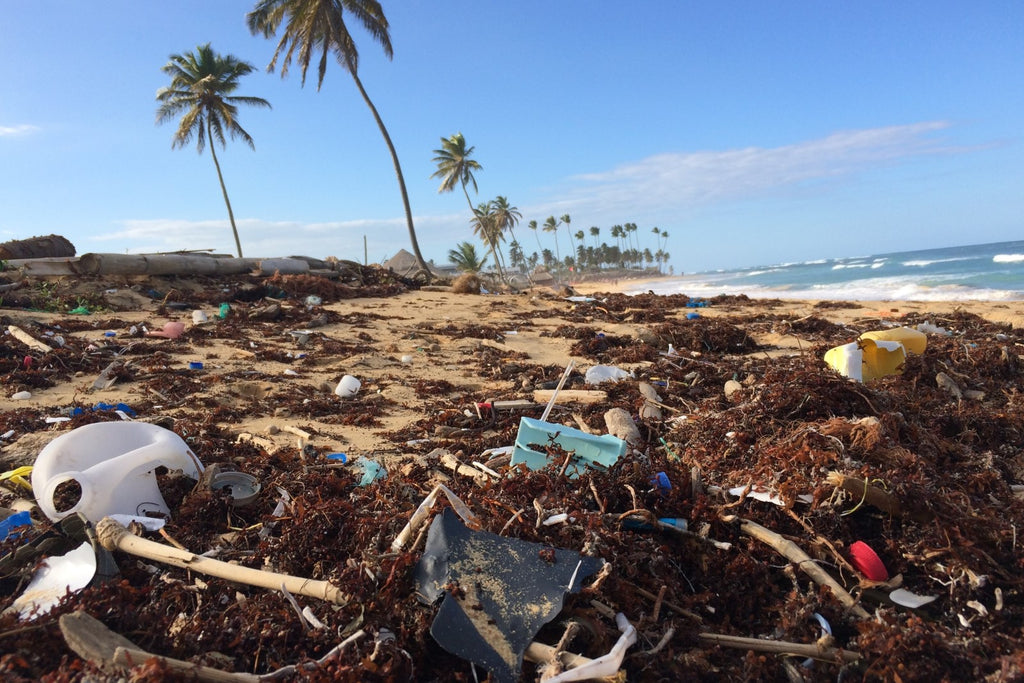 Weniger Plastik für unseren Planeten - freshorado