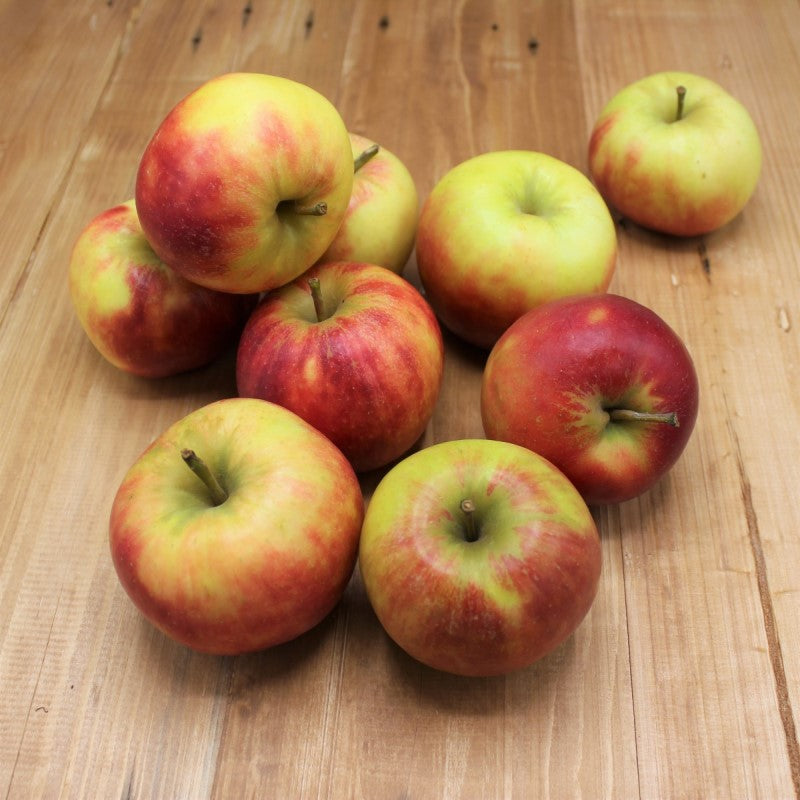 Apfel Elstar - freshorado