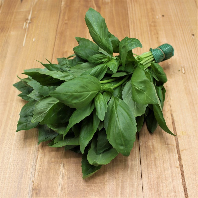 Basilikum - freshorado
