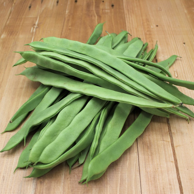 Bohnen breit, Stangenbohnen - freshorado