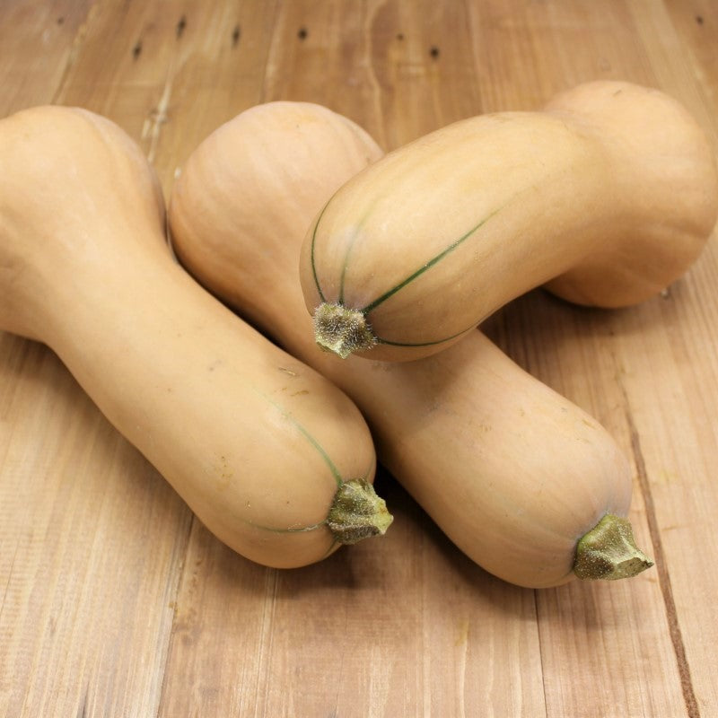 Butternut Kürbis