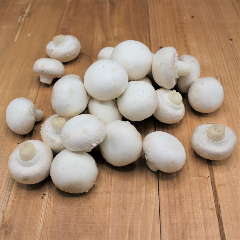 Champignons weiß - freshorado