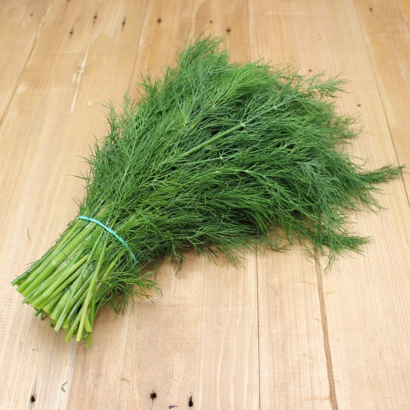 Dill Bio - freshorado