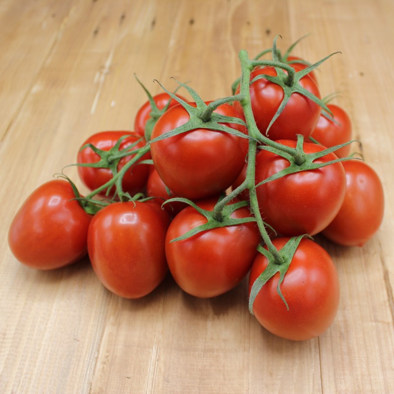 Eiertomaten - freshorado