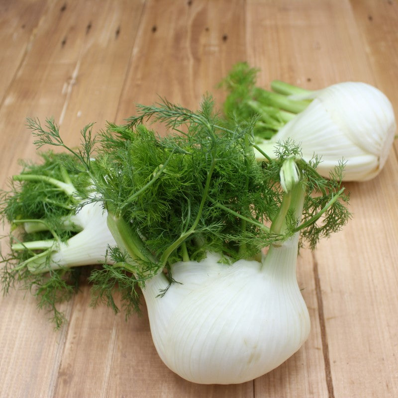 Fenchel - freshorado