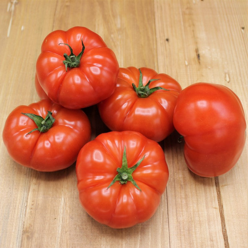 Fleischtomaten - freshorado