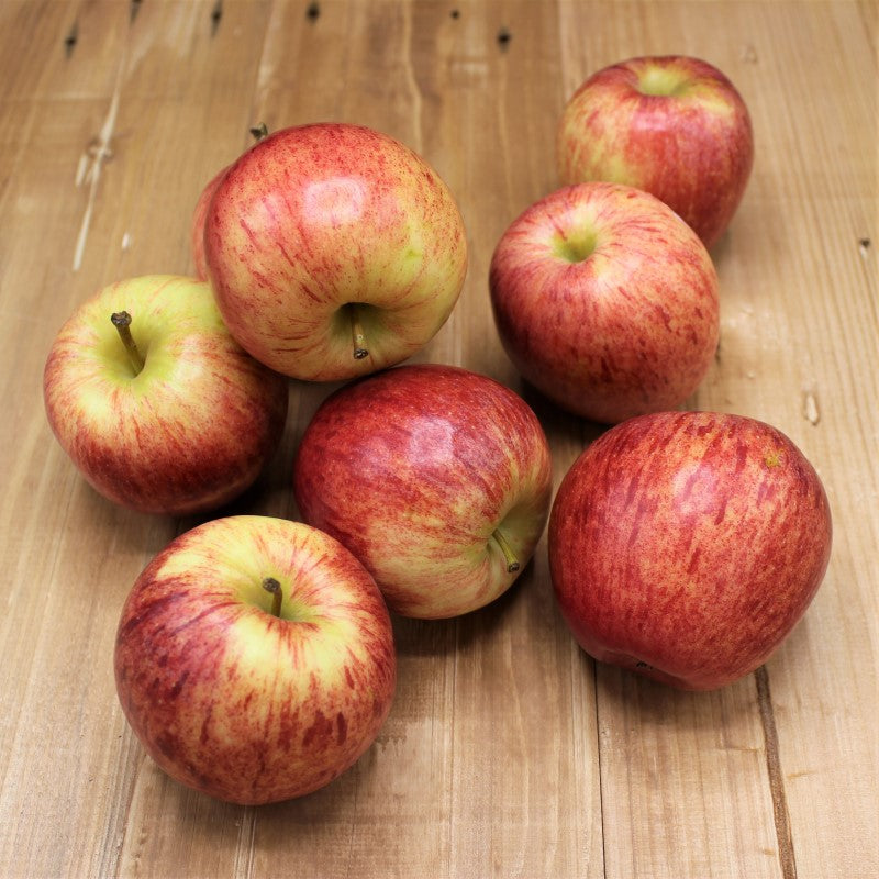 Apfel Royal Gala - freshorado
