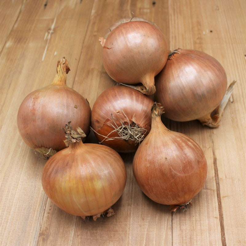Zwiebeln "Gemüsezwiebeln" - freshorado