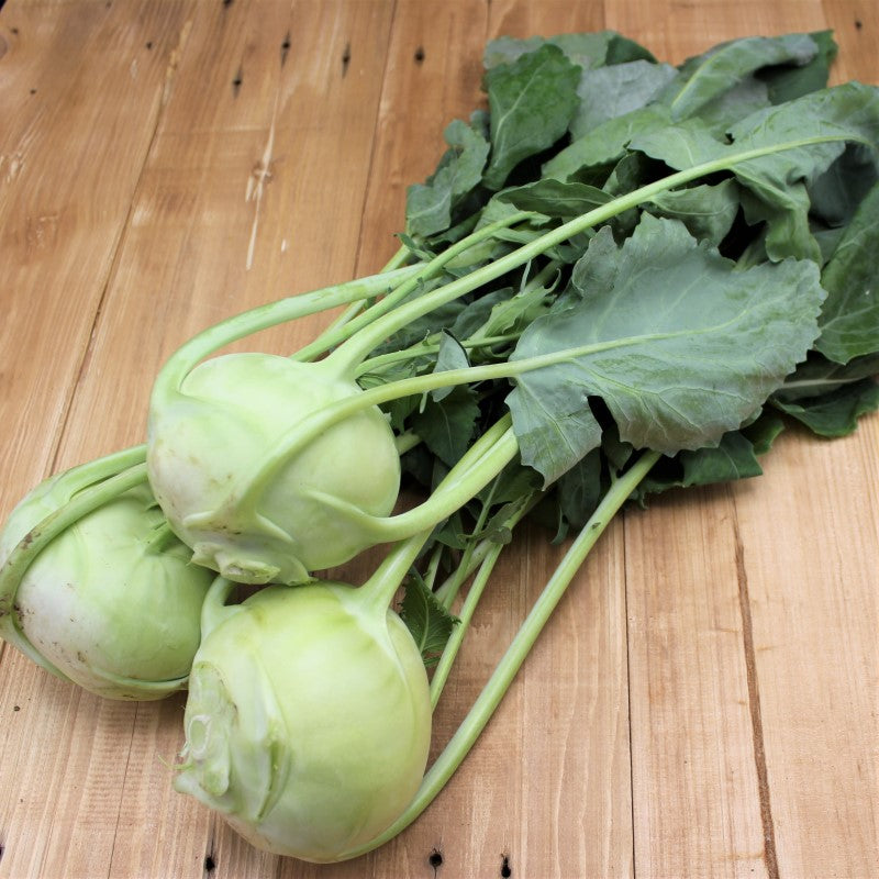 Kohlrabi - freshorado