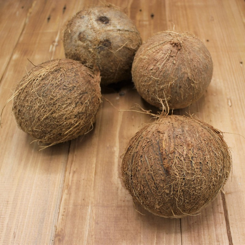 Kokosnuss - freshorado