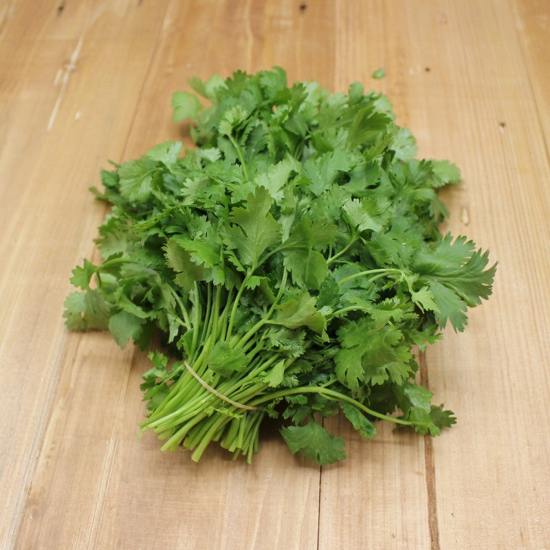 Koriander - freshorado