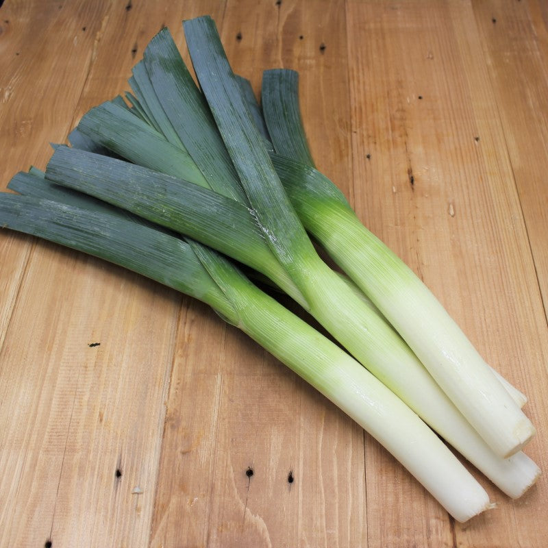Lauch, Porree - freshorado