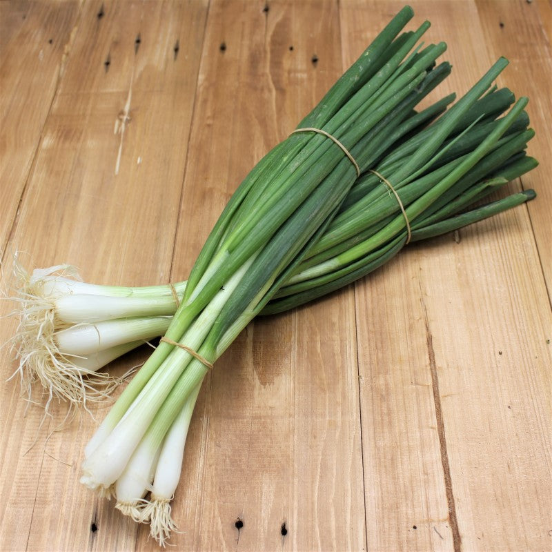 Lauchzwiebeln - freshorado