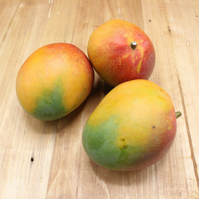 Mango "Flugware" - freshorado