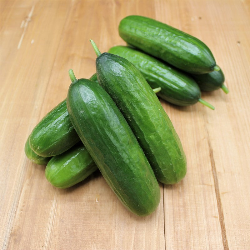 Gurken mini - freshorado