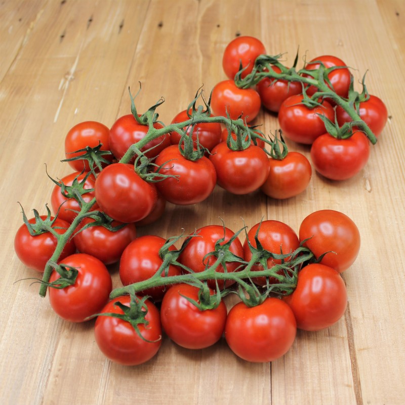 Mini- Strauchtomaten "Rote Perle" - freshorado