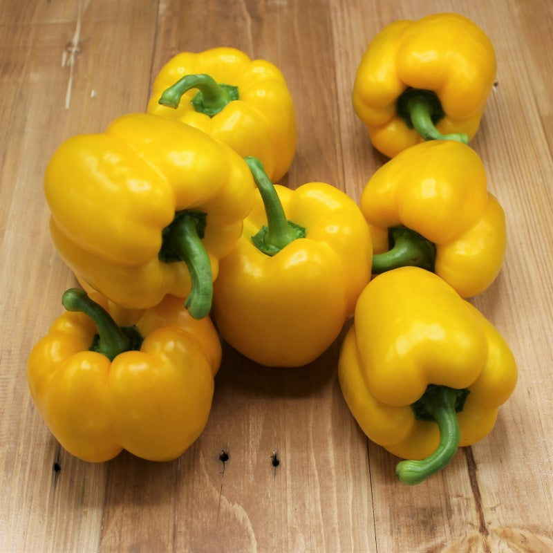 Paprika Gelb - freshorado