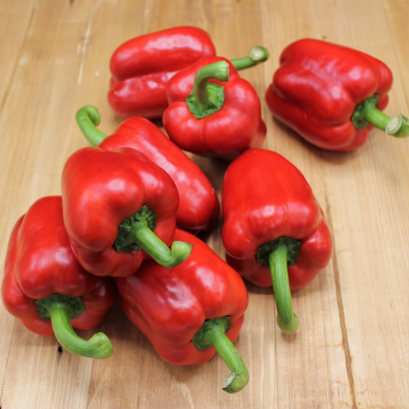 Paprika Rot - freshorado