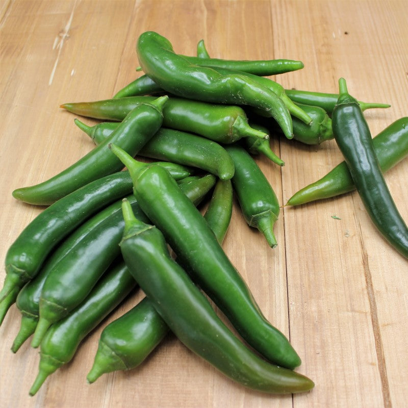 Peperoni grün - freshorado