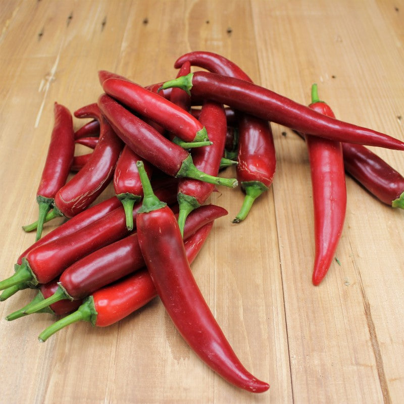 Peperoni rot - freshorado