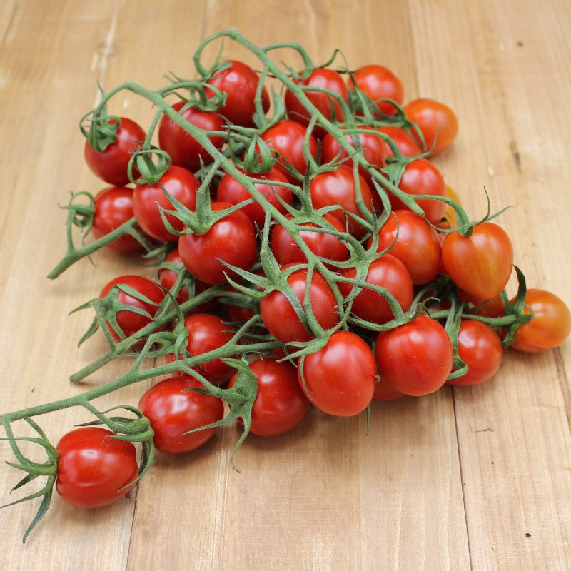 Mini Pflaumentomaten - freshorado