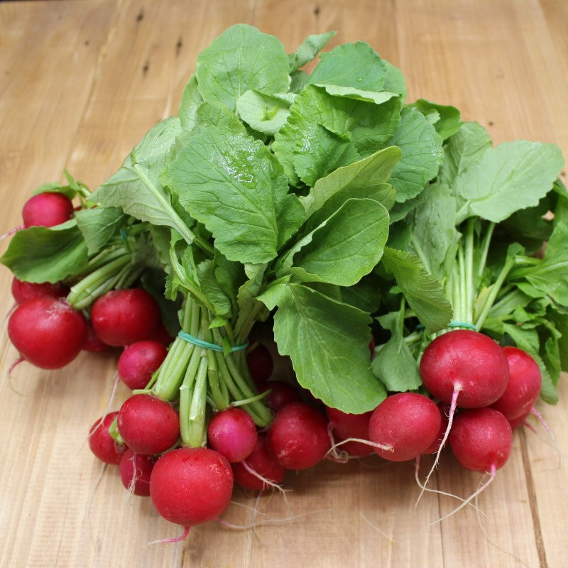 Radieschen - freshorado