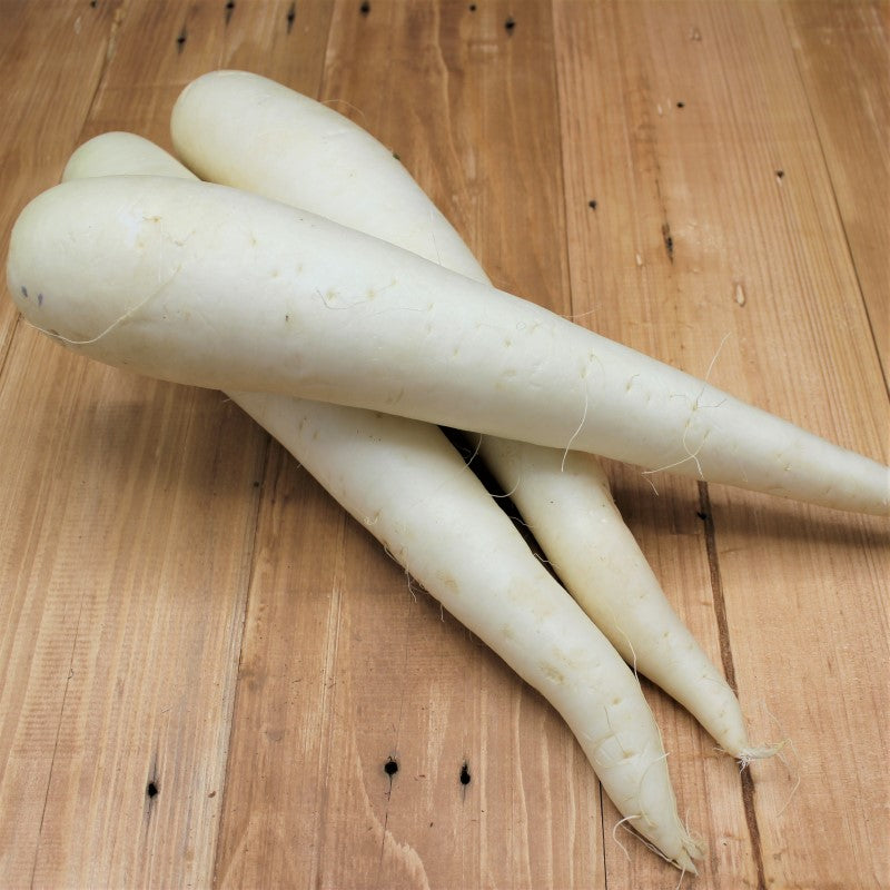 Rettich "weiß" - freshorado