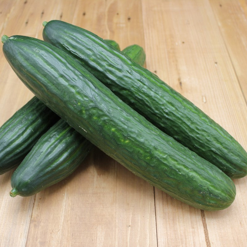 Gurken "Salatgurke" - freshorado