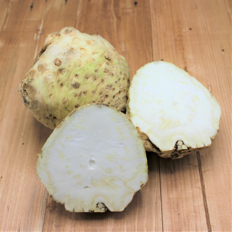 Sellerie "Knolle" - freshorado