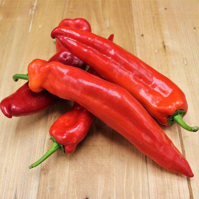 Paprika Spitz "rot" - freshorado