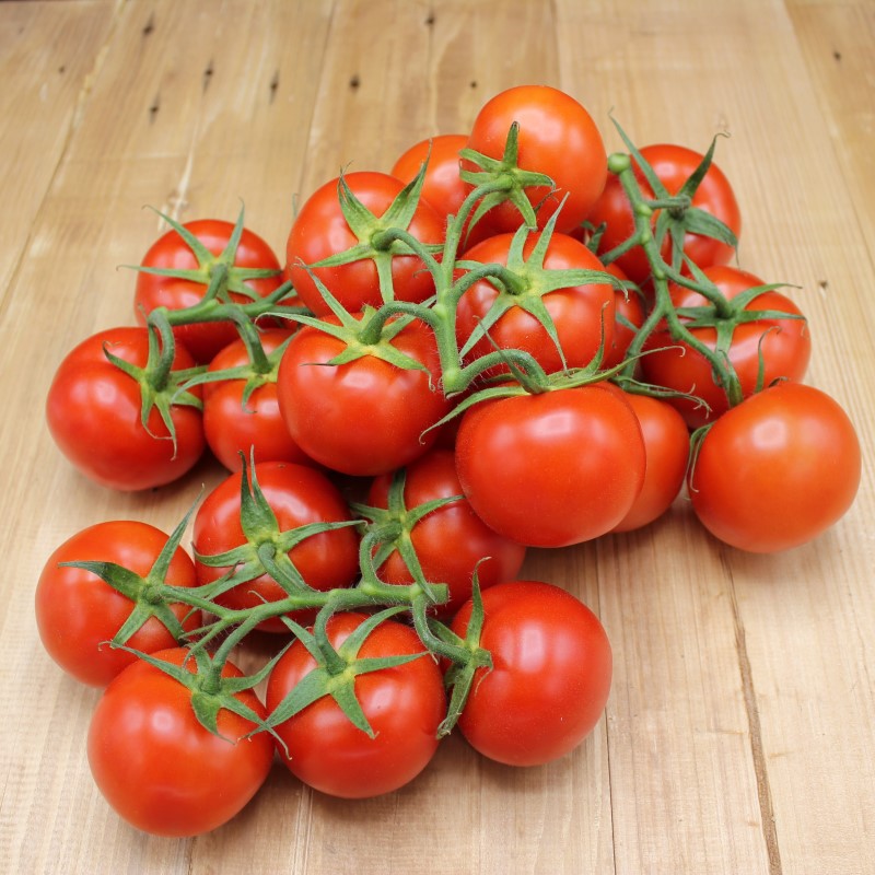 Strauchtomaten - freshorado