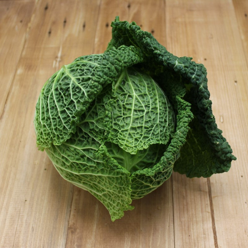 Wirsing - freshorado