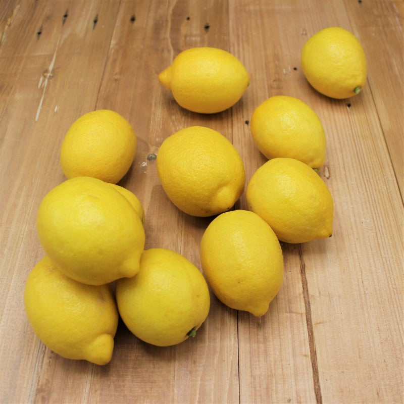Zitronen "unbehandelt" - freshorado