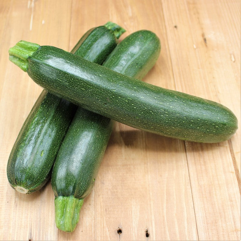 Zucchini Grün - freshorado