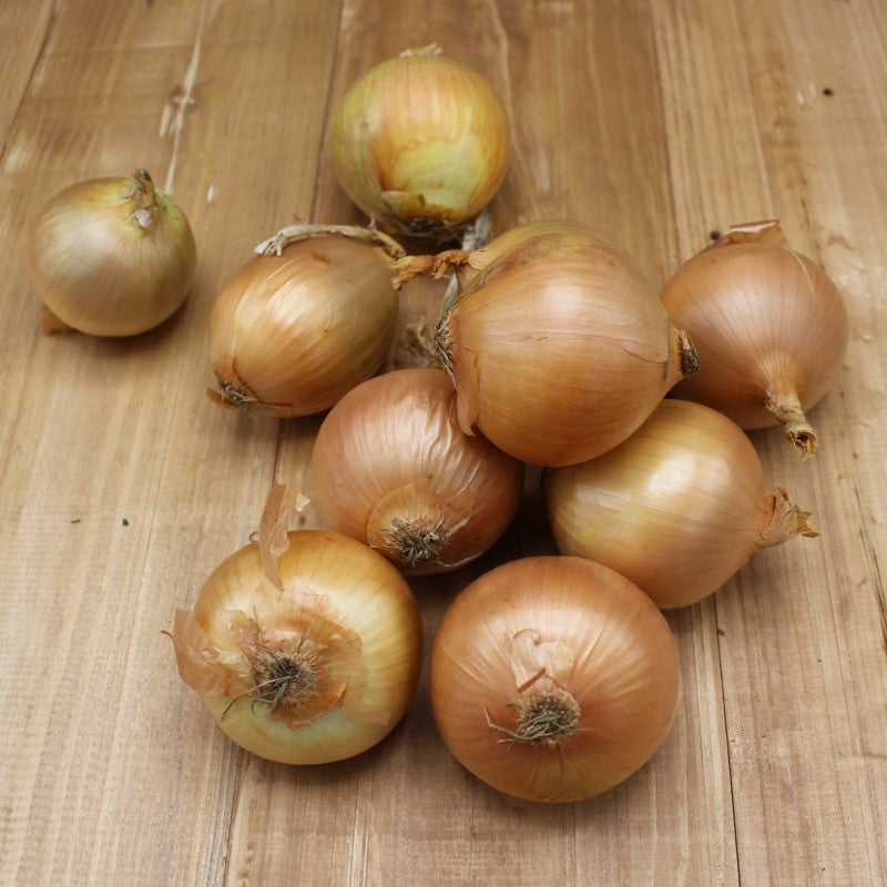 Zwiebeln - freshorado
