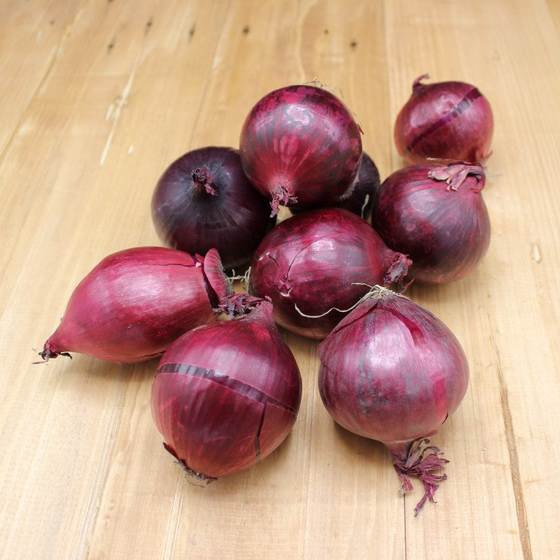 Zwiebeln "rot" - freshorado